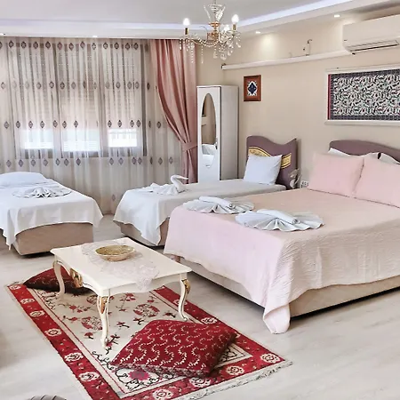 Hotel Ephesus Palace 2*