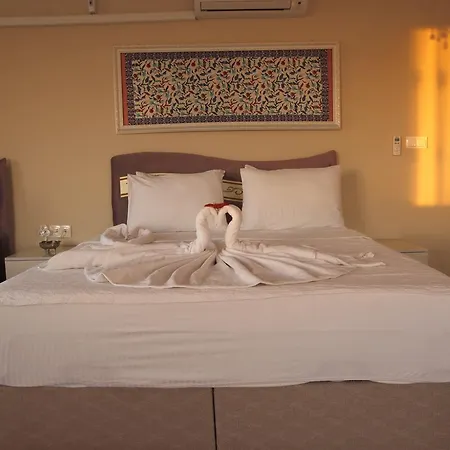 Hotel Ephesus Palace 2*