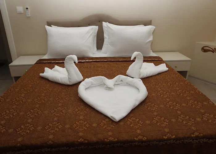 Hotel Ephesus Palace 2*