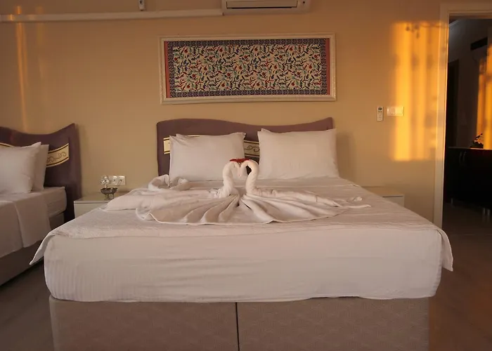 Hotel Ephesus Palace 2*