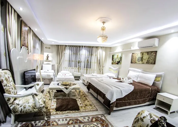 Hotel Ephesus Palace 2*