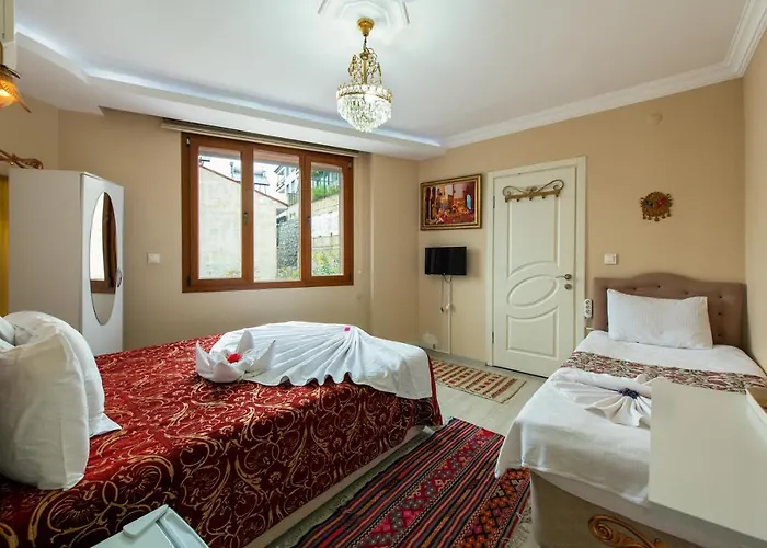 Hotel Ephesus Palace 2*