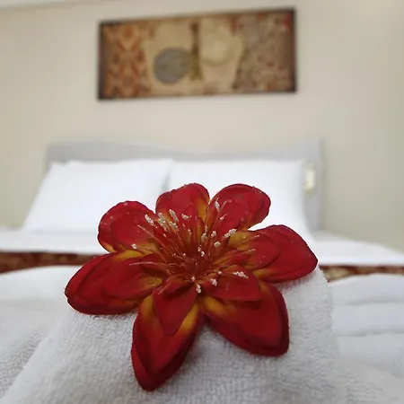 Hotel Ephesus Palace 2*