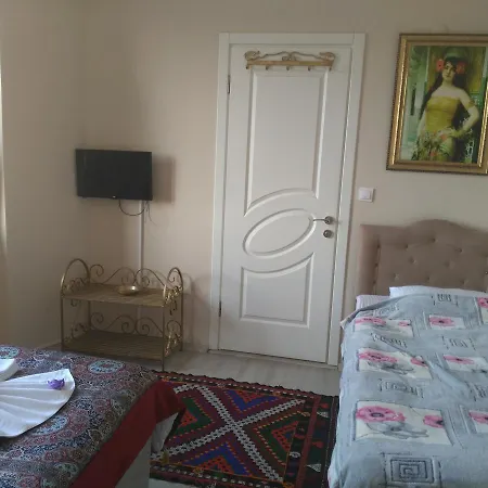 Hotel Ephesus Palace 2*