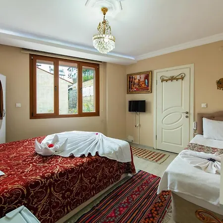 Hotel Ephesus Palace 2*