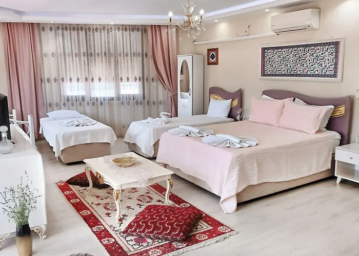 Ξενοδοχείο Ephesus Palace 2*