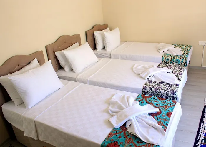 Ephesus Palace Ξενοδοχείο 2*