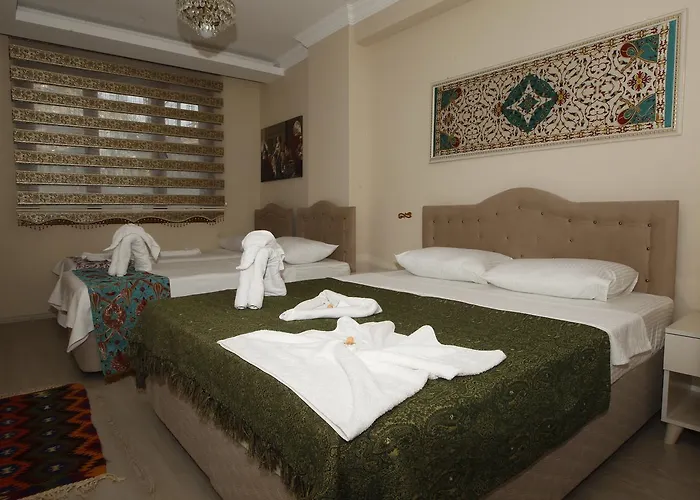 Ξενοδοχείο Ephesus Palace 2*