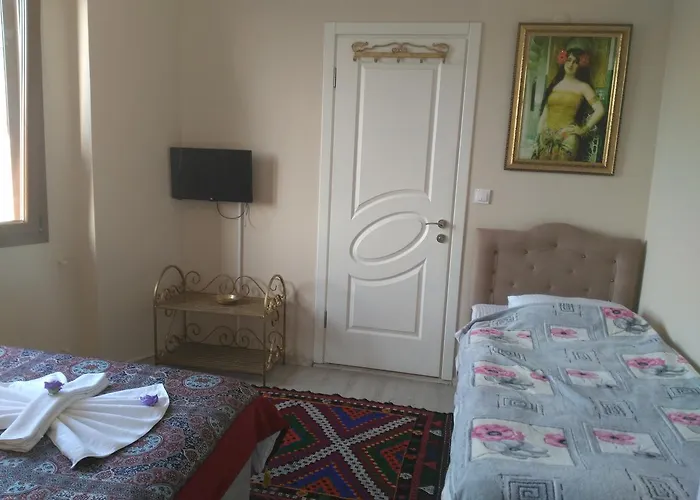 Ξενοδοχείο Ephesus Palace 2*