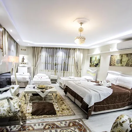 Hotel Ephesus Palace 2*